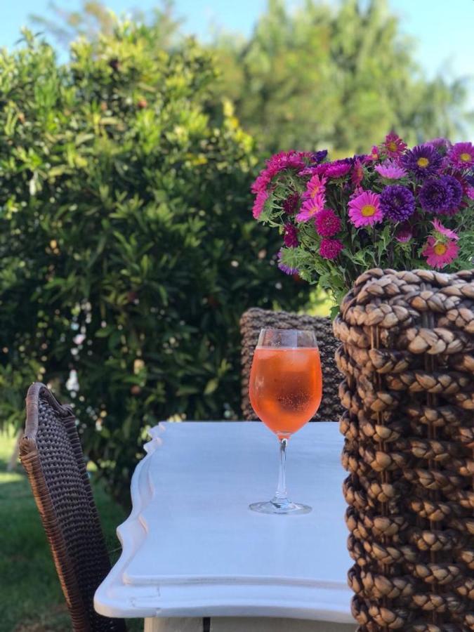 Cabana Corazon De Colchagua Sta Cruz Διαμέρισμα Nancagua  Εξωτερικό φωτογραφία